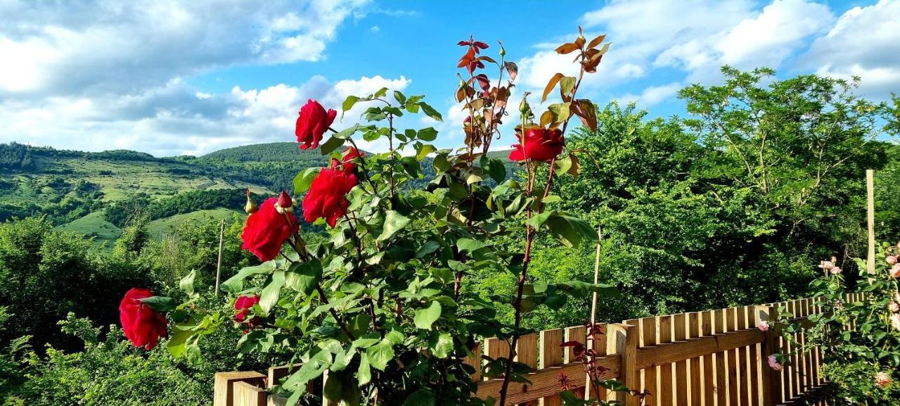 Villa Eskici Staro Myasto Esterno foto