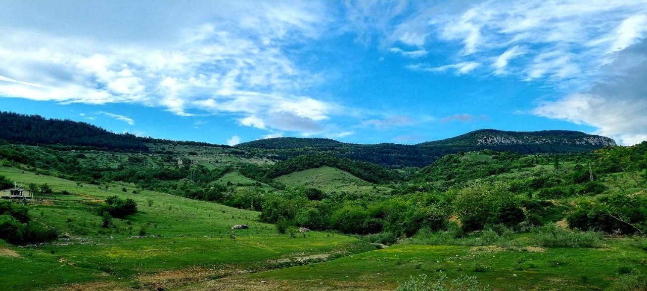 Villa Eskici Staro Myasto Esterno foto