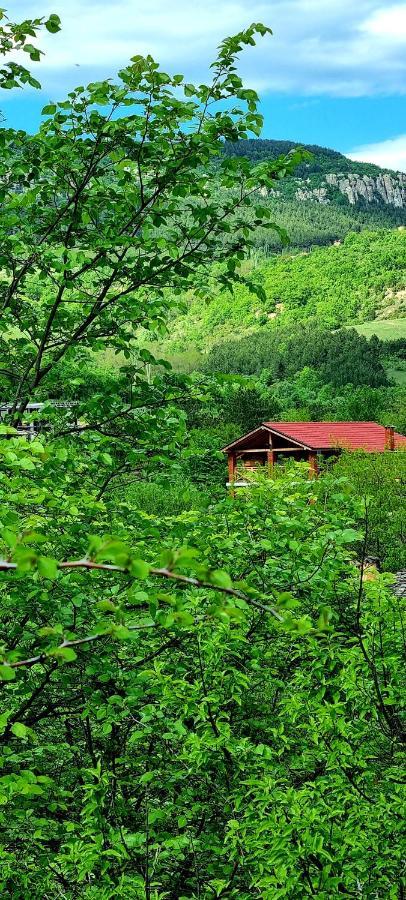 Villa Eskici Staro Myasto Esterno foto